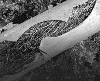 Blocked Drains Mentone